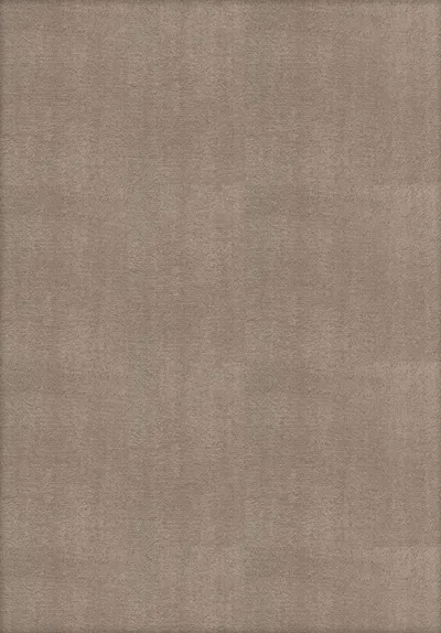 Wool Rug