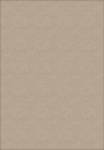 Art Silk Rug